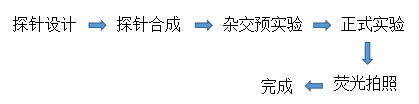 雜交1.png