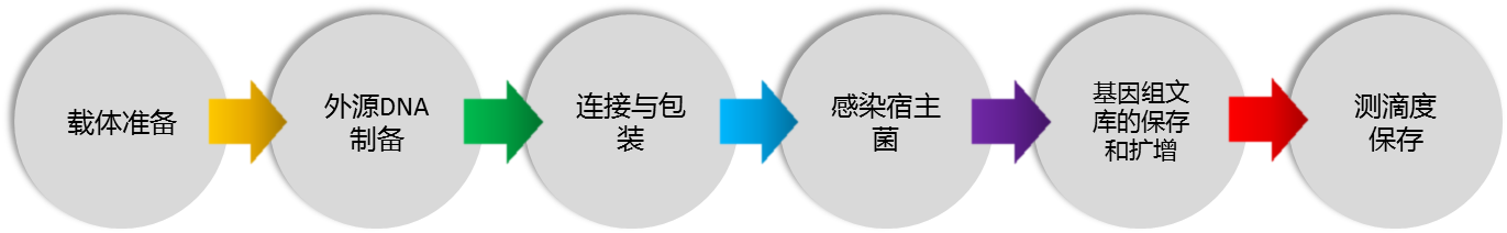 測(cè)序1.png