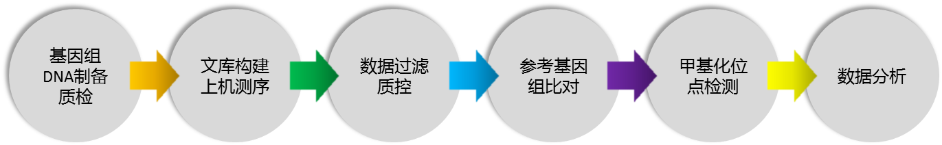 測(cè)序2.png