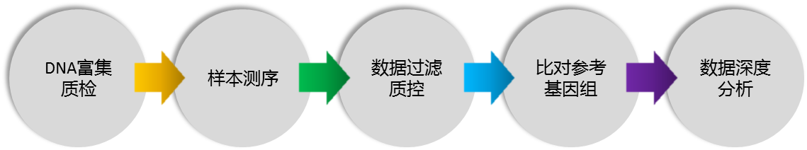 測(cè)序3.png