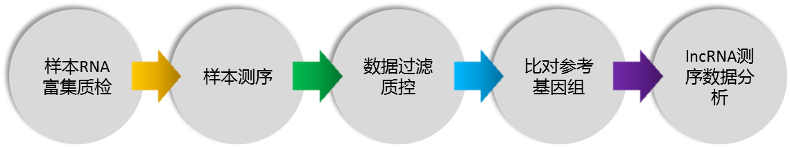 測(cè)序4.png