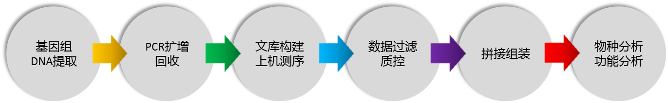 測(cè)序8.png